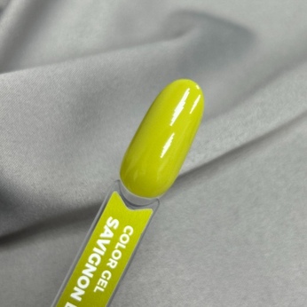 Гель-лак PAINT ME SAVOY 489 8ml