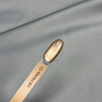 Гель-лак iPerfect Honey cat color gel 10g - 01