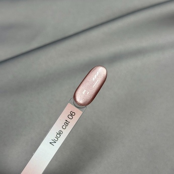 Гель-лак iPerfect Nude cat color gel 10g - 06