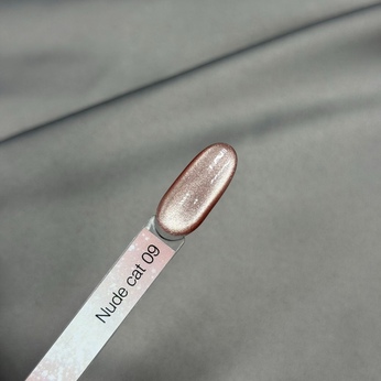 Гель-лак iPerfect Nude cat color gel 10g - 09